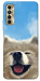 Чохол Samoyed husky для TECNO Camon 17P