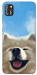 Чехол Samoyed husky для TECNO POP 4 Pro