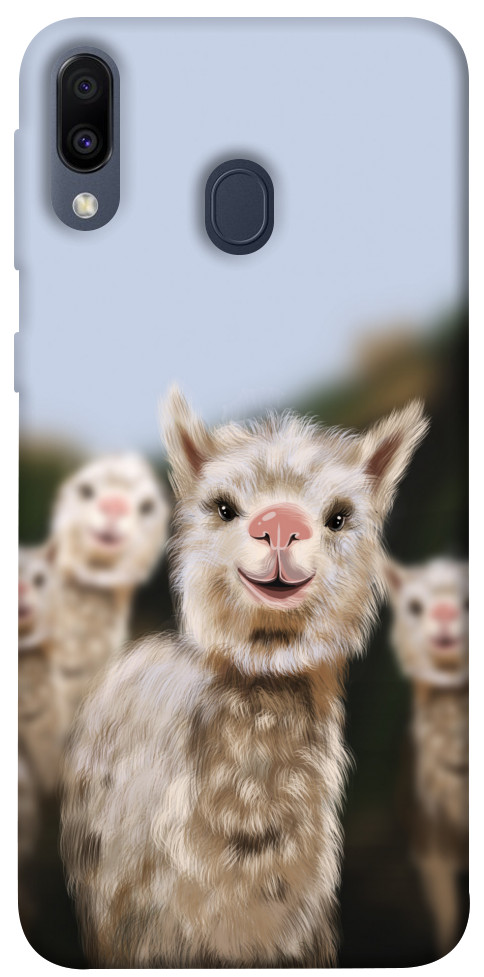 Чехол Funny llamas для Galaxy M20