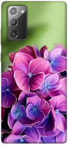 Чехол Кружевная гортензия для Galaxy Note 20