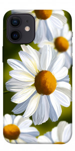 Чехол Ароматная ромашка для iPhone 12 mini
