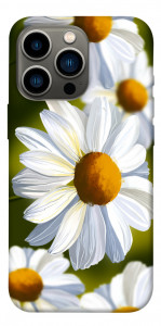 Чехол Ароматная ромашка для iPhone 13 Pro