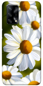Чехол Ароматная ромашка для Oppo A74 4G