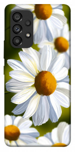 Чехол Ароматная ромашка для Galaxy A53