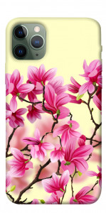 Чехол Цветы сакуры для iPhone 11 Pro