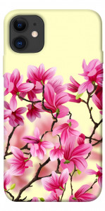 Чехол Цветы сакуры для iPhone 11