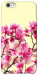 Чохол Квіти сакури для iPhone 6