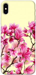 Чехол Цветы сакуры для iPhone XS Max
