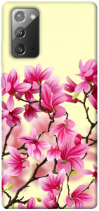 Чехол Цветы сакуры для Galaxy Note 20