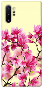 Чехол Цветы сакуры для Galaxy Note 10+ (2019)