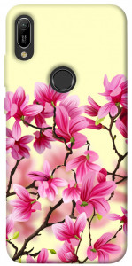 Чехол Цветы сакуры для Huawei Y6 (2019)