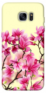Чехол Цветы сакуры для Galaxy S7 Edge