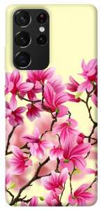 Чехол Цветы сакуры для Galaxy S21 Ultra