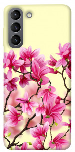 Чехол Цветы сакуры для Galaxy S21