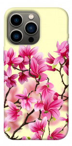Чехол Цветы сакуры для iPhone 13 Pro
