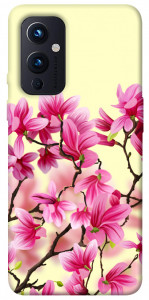 Чехол Цветы сакуры для OnePlus 9