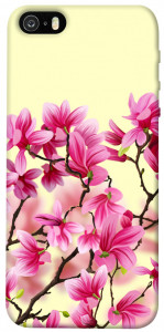 Чехол Цветы сакуры для iPhone 5
