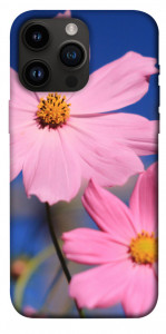 Чехол Розовая ромашка для iPhone 14 Pro Max