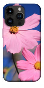 Чехол Розовая ромашка для iPhone 14 Pro