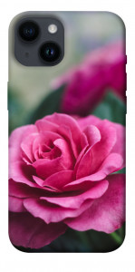 Чехол Роза в саду для iPhone 14