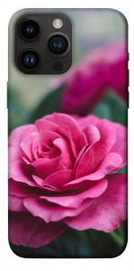 Чехол Роза в саду для iPhone 14 Pro Max