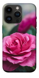 Чехол Роза в саду для iPhone 14 Pro