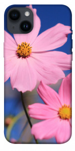 Чехол Розовая ромашка для iPhone 14 Plus