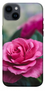 Чехол Роза в саду для iPhone 14 Plus