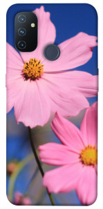 Чехол Розовая ромашка для OnePlus Nord N100