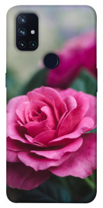 Чехол Роза в саду для OnePlus Nord N10 5G