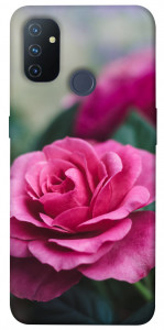 Чехол Роза в саду для OnePlus Nord N100