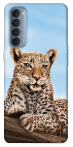 Чехол Proud leopard для Oppo Reno 4 Pro