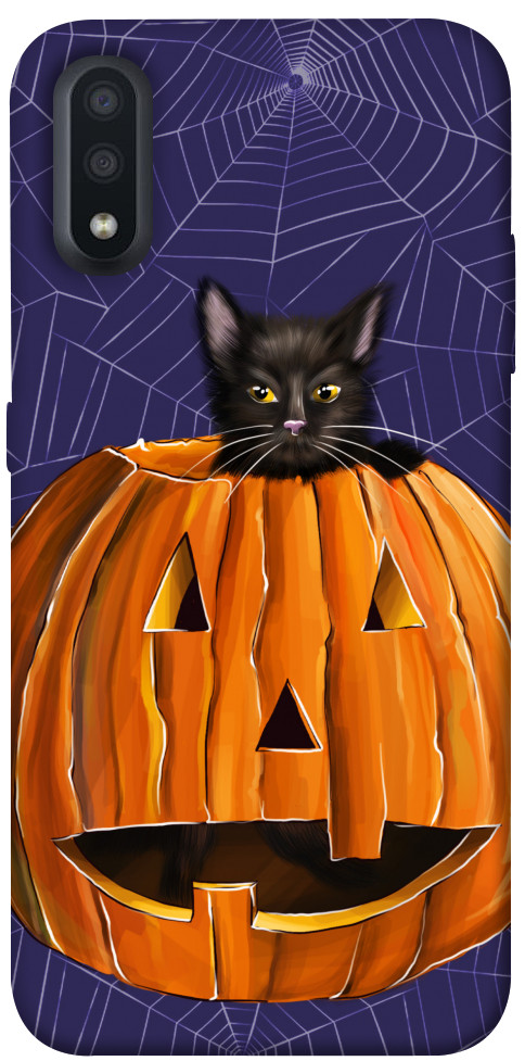 

Чехол Cat and pumpkin для Galaxy A01 1424042