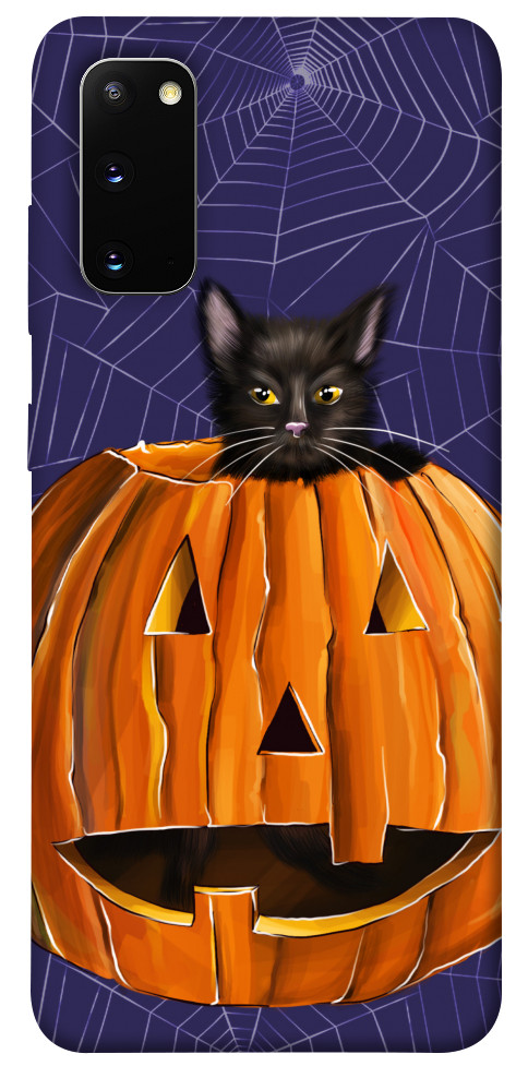 

Чехол Cat and pumpkin для Galaxy S20 (2020) 1424057