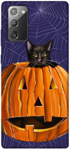 Чехол Cat and pumpkin для Galaxy Note 20