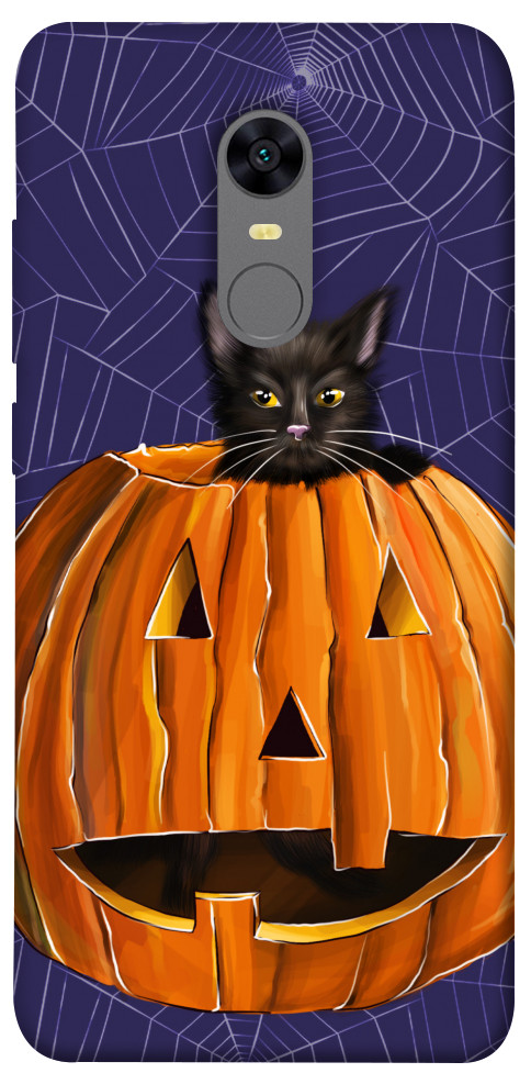 

Чехол Cat and pumpkin для Xiaomi Redmi 5 Plus 1424088