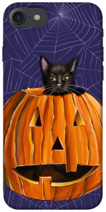 Чохол Cat and pumpkin для iPhone 8 (4.7")