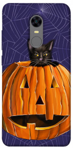 Чехол Cat and pumpkin для Xiaomi Redmi Note 5 (DC)