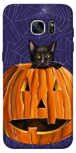 Чехол Cat and pumpkin для Galaxy S7 Edge