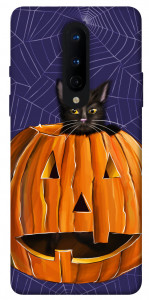 Чохол Cat and pumpkin для OnePlus 8