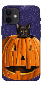 Чохол Cat and pumpkin для iPhone 12 mini