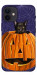 Чохол Cat and pumpkin для iPhone 12 mini