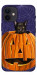 Чехол Cat and pumpkin для iPhone 12 mini