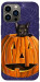 Чехол Cat and pumpkin для iPhone 12 Pro Max