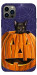 Чохол Cat and pumpkin для iPhone 12 Pro