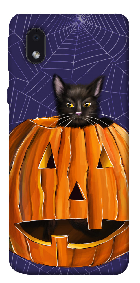 

Чехол Cat and pumpkin для Samsung Galaxy A01 Core 1424153