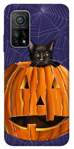 Чохол Cat and pumpkin для Xiaomi Mi 10T