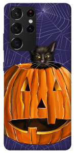 Чехол Cat and pumpkin для Galaxy S21 Ultra