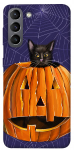 Чохол Cat and pumpkin для Galaxy S21