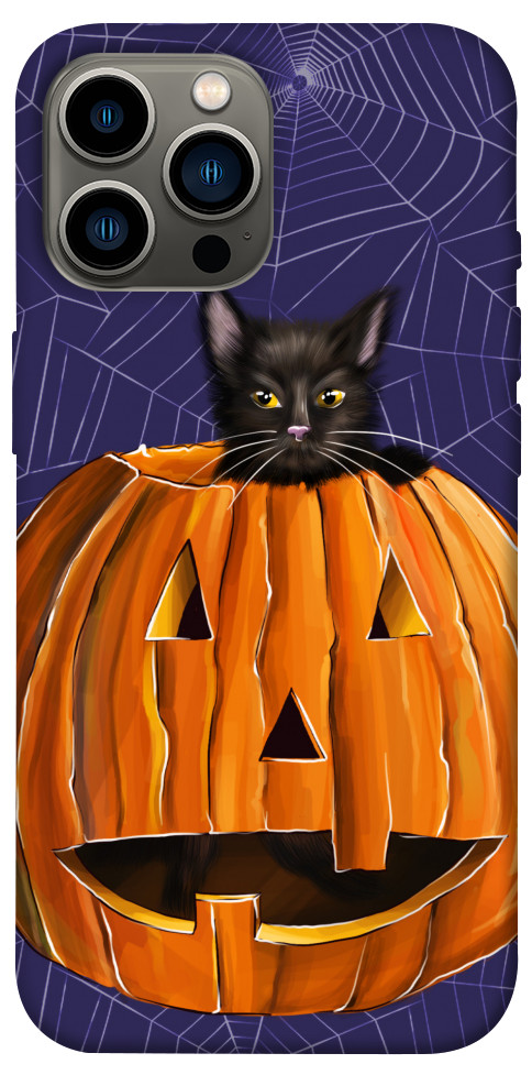 

Чехол Cat and pumpkin для iPhone 13 Pro Max 1424200